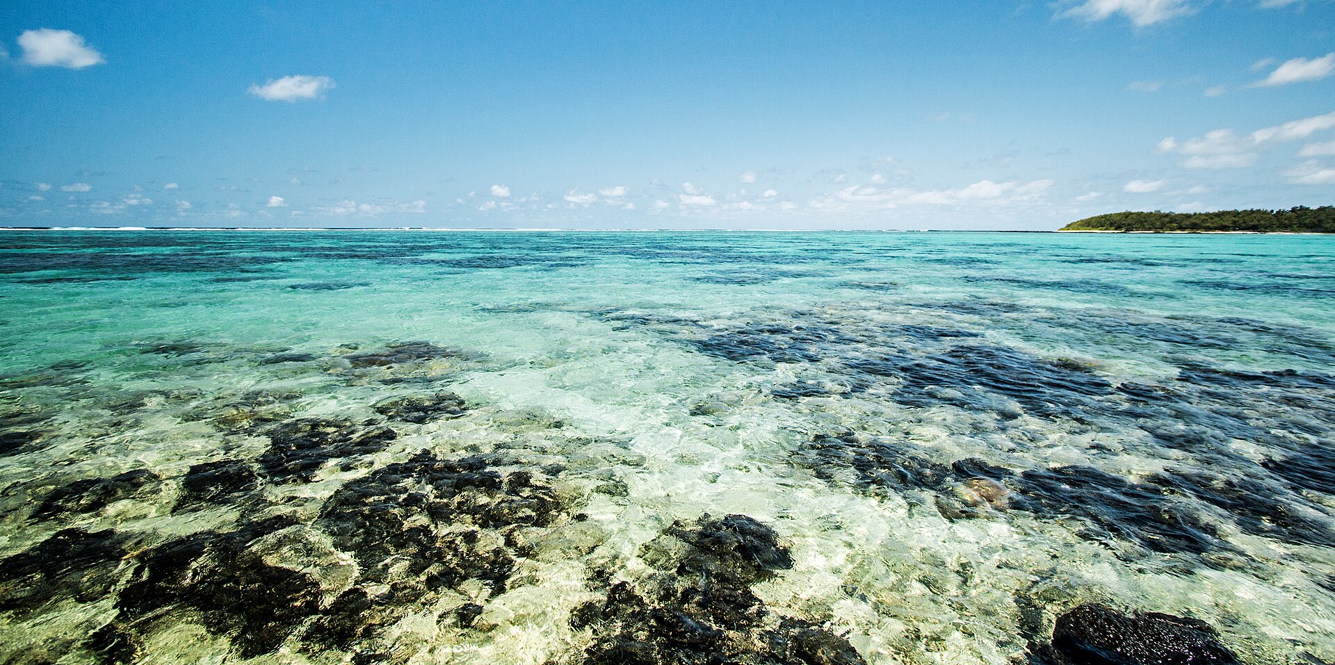 The turquoise lagoon and shoreline at Blue Bay in Mauritius